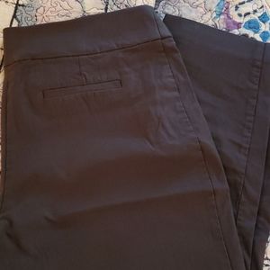 Apt. 9 Crop Pants